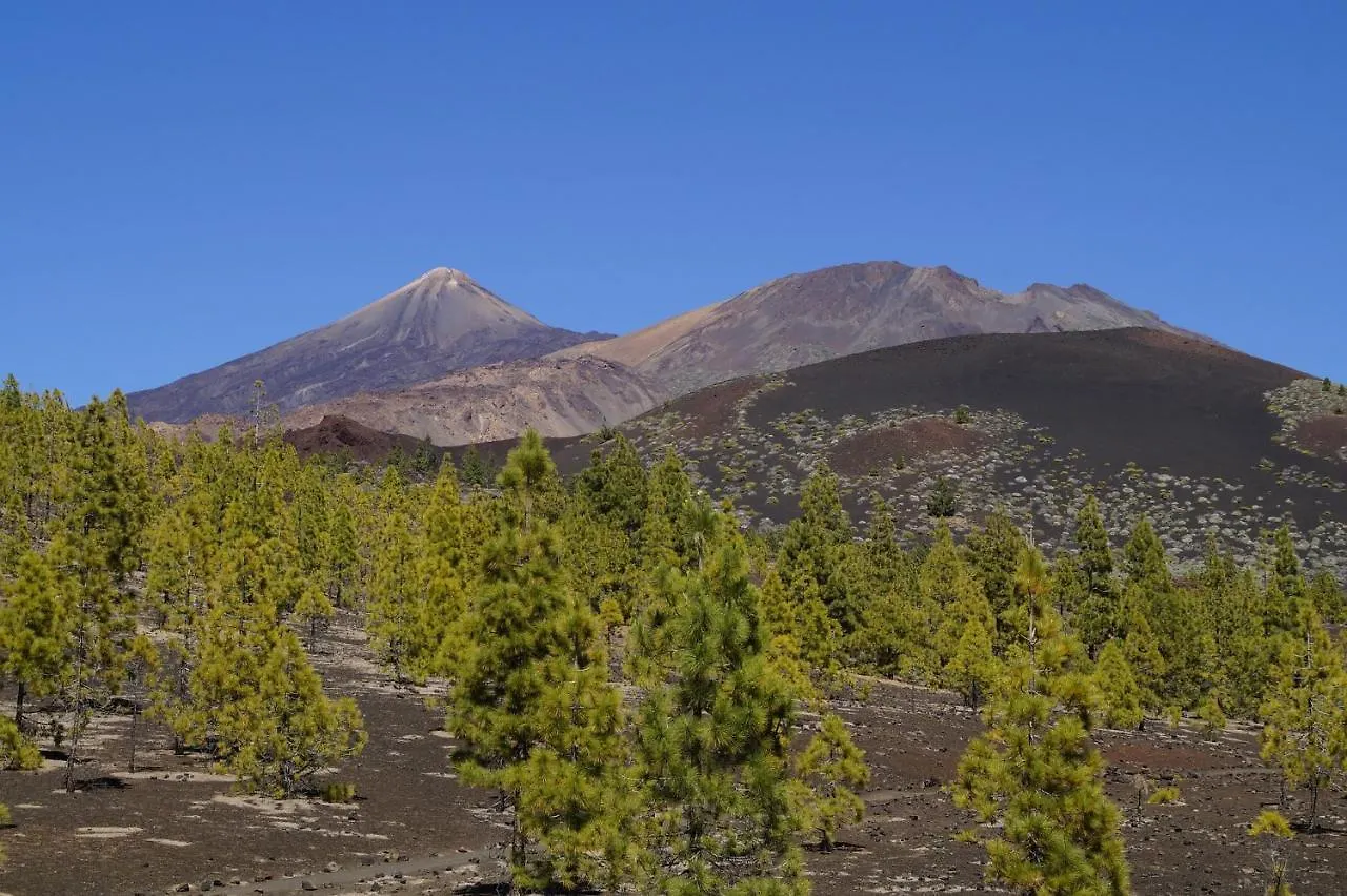 Vista Del Drago Villa Icod de los Vinos